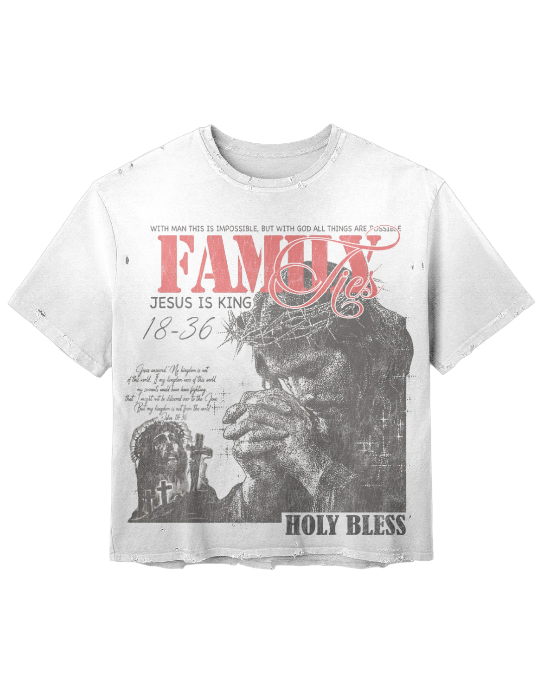 Family Ties “Through Him” Vintage Tee